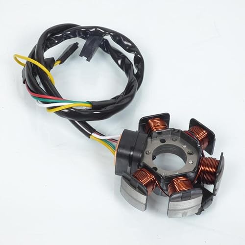 Zündungsstator für Moto Rieju 50 MRT 2009 bis 2017 von Teknix