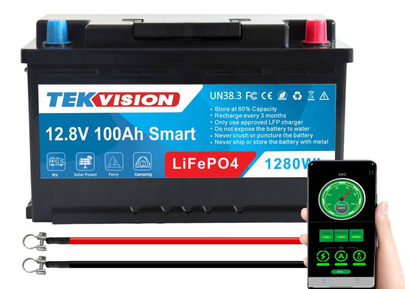 Tekvision LiFePO4 12V 100Ah H7 Lithium Batterie Bluetooth Versorgung Batterie Solarbatterie Wohnmobil Autobatterien Solar Camping Haushalt inklusive App (LiFePO4 12V 100Ah H7 315 * 175 * 190mm) von Tekvision