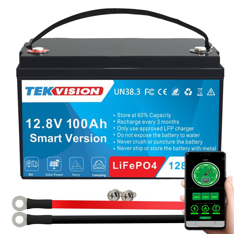 Tekvision Lithium LiFePO4 Akku 12V 100Ah Versorgung Batterie mit BMS Wohnmobil Boot Solaranlage Wohnwagen Solar Haushalt(12V 100Ah Smart) von Tekvision