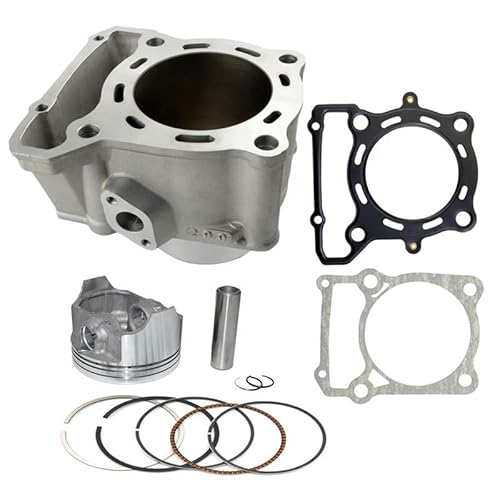 TERAM LOISIRS Motorzylinder + Kolben + Dichtungen Kit für Kawasaki KLX 300 ab 1996 1997 1998 1999 2000 2001 2002 2003 2004 2005 2006 2007 von Teram Loisirs