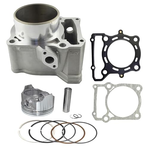 TERAM LOISIRS Motorzylinder + Kolben + Dichtungen Kit kompatibel mit Kawasaki KLX 250 ab 1993 1994 1995 1996 1997 1998 1999 2000 2001 2002 2003 2004 2005 2006 bis 201 4 neue FRANKREICH von Teram Loisirs