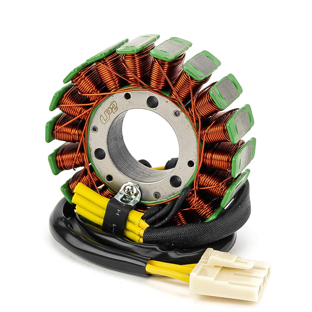 TERAM LOISIRS Stator Zündung, kompatibel mit KTM 125 Duke ABS von 2014 2015 und 2016 von Teram Loisirs