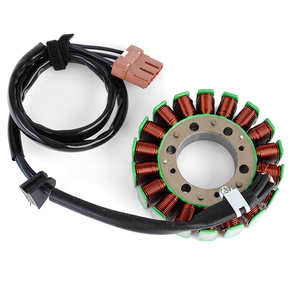 TERAM LOISIRS Stator Zündung, kompatibel mit KTM 690 Enduro R von 2014 2015 2016 2017 von Teram Loisirs