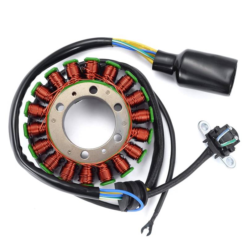 TERAM LOISIRS Stator Zündung, kompatibel mit Yamaha 5VK-81410-00 von Teram Loisirs