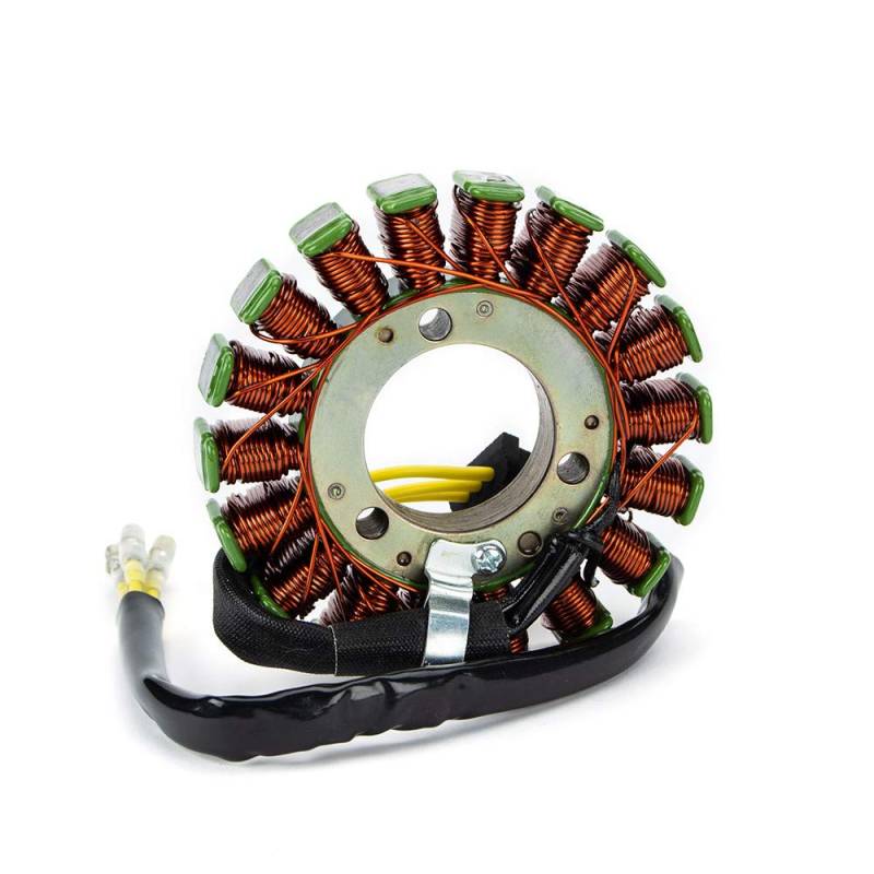 TERAM LOISIRS Stator Zündung kompatibel für Kawasaki 21003-1038/21003-1256 von Teram Loisirs