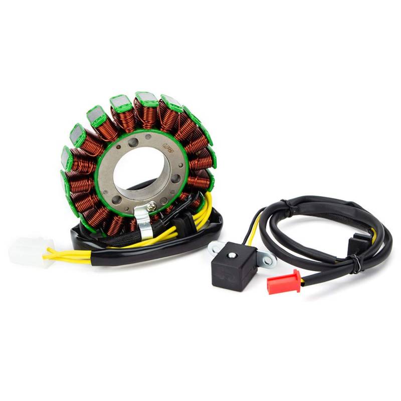 TERAM LOISIRS Stator Zündung kompatibel für Kawasaki EX400 EX-4 1994 und 1995 von Teram Loisirs