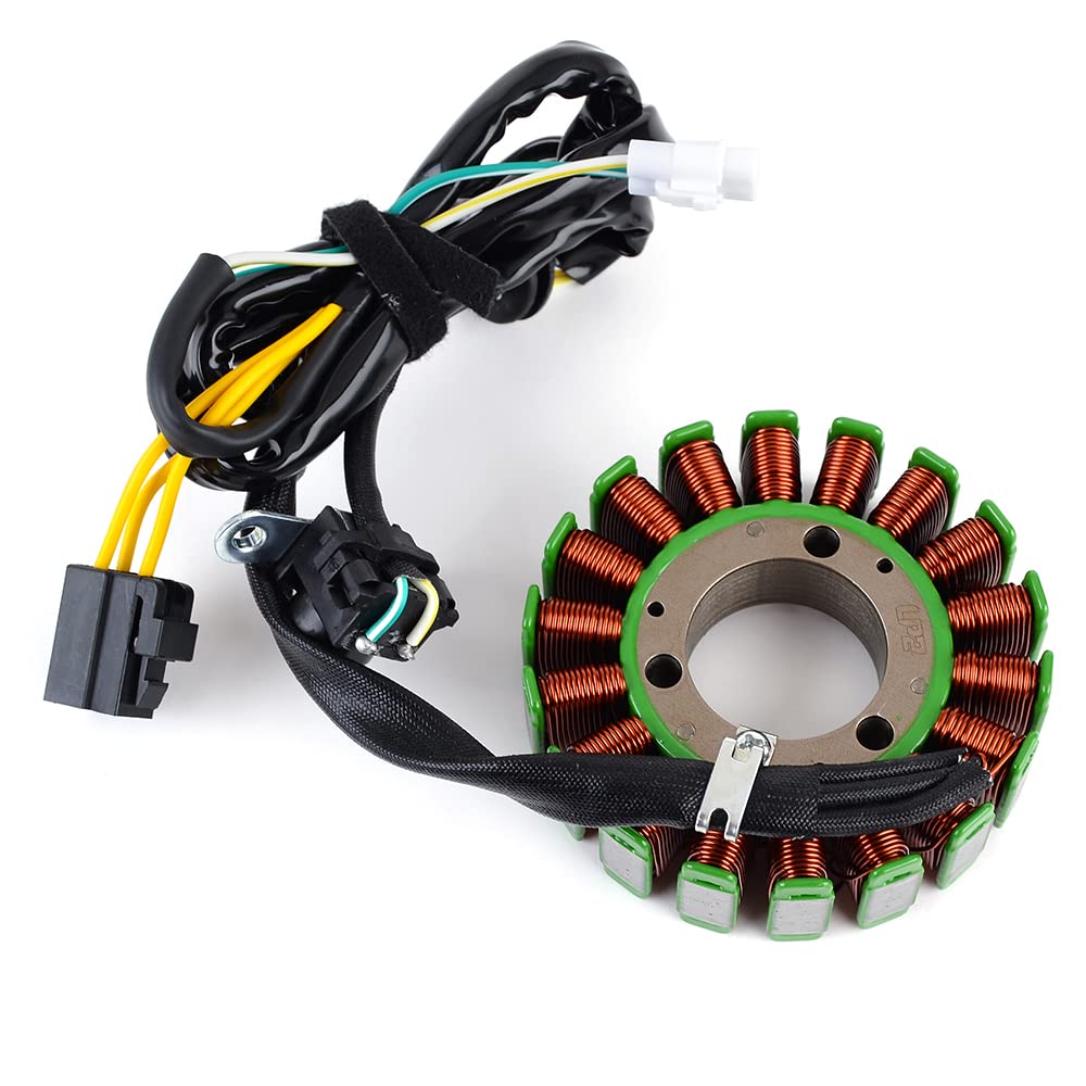 TERAM LOISIRS Stator Zündung kompatibel für Kawasaki KLX 250 / D-Tracker von 1998 1999 2000 2001 2002 2003 2004 2005 2006 2007 von Teram Loisirs