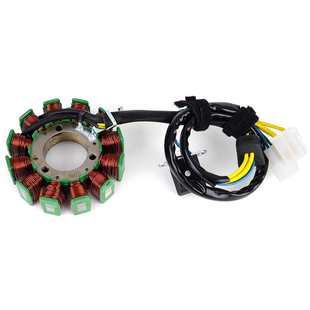 TERAM LOISIRS Stator kompatibel für Hyosung GT 125 / GV 125 / GT 125 R von 2002 2003 2004 2005 2006 2007 2008 2009 2010 Frankreich von Teram Loisirs