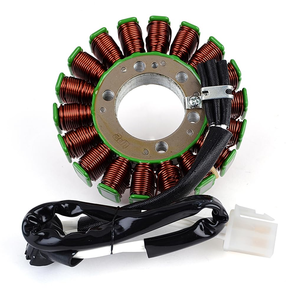 TERAM LOISIRS Stator kompatibel für Yamaha 5SL-81410-00 von Teram Loisirs