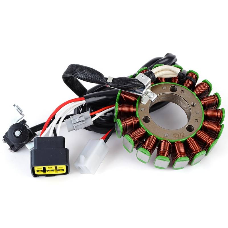 TERAM LOISIRS Stator kompatibel für Yamaha WR 250 R von 2007 2008 2009 2010 2011 2012 2013 2014 2015 2016 2017 Frankreich von Teram Loisirs