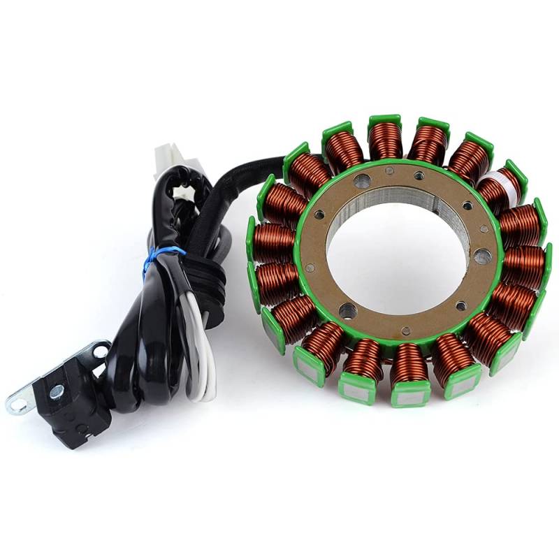 TERAM LOISIRS Stator kompatibel für Yamaha XVS 650 V-Star Midnight Custom von 2005 2006 2007 2008 2009 2010 von Teram Loisirs