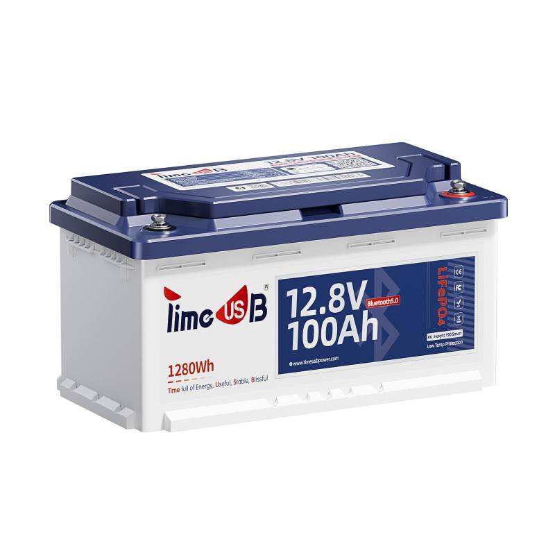 Timeusb 12V 100Ah Bluetooth Lithium Batterie mit 189mm Höhe, 1280Wh Tiefzyklus LiFePO4 Batterie mit Smart BMS, Niedrigtemperaturschutz, Blei-Säure-Ersatz für Wohnmobil RVs Wohnwagen HeimSolaranlage von Timeusb