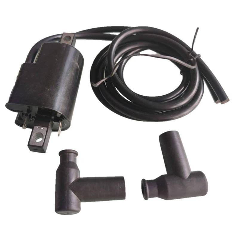 TingHaoO 12 V wasserdichte Zündspule für XP 787 278000383 278001130 278001254 Verbesserte Motorleistung auf Wasserrollern von TingHaoO