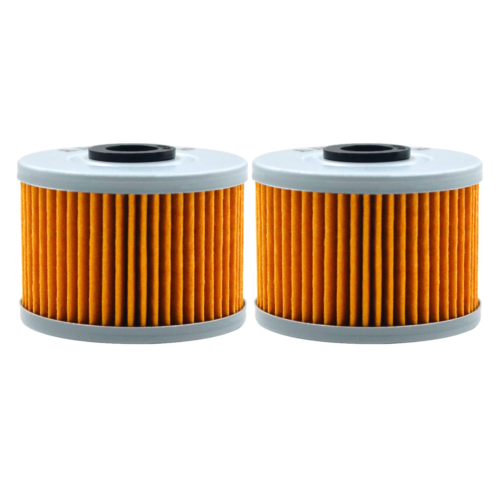 AHL - Motorrad Ölfilter 2 pcs für HONDA XL600R 600 1983-1988/ XLX250 250 1983-1984/ XR250 SUPER 250 1997-2004 / XR250L 250 1991-1999 von Tongtong