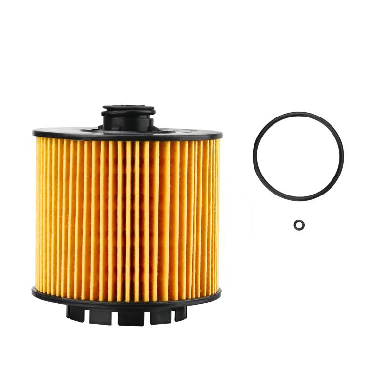 TORCH Ölfilter XOZ10163 Ersetzen für OE:1056022300 von Torch