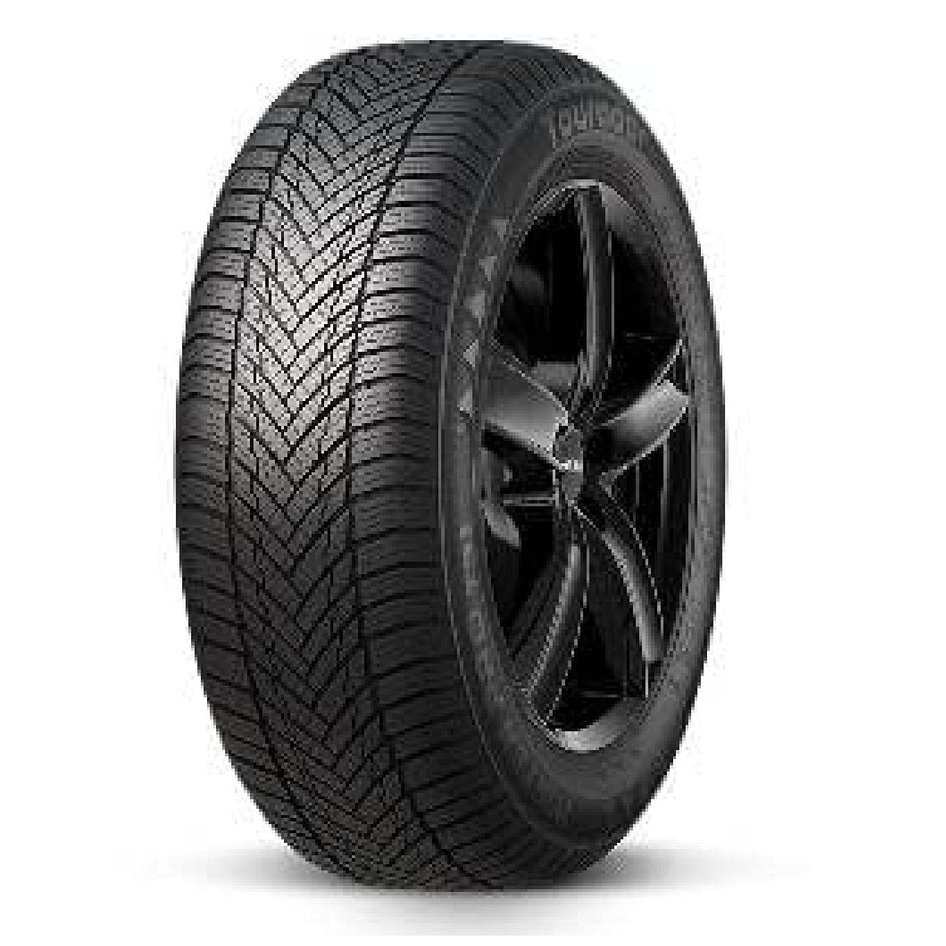 175/65R13 80T WINTER PRO TS1 von Tourador