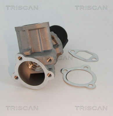 AGR-Ventil Triscan 8813 10003 von Triscan