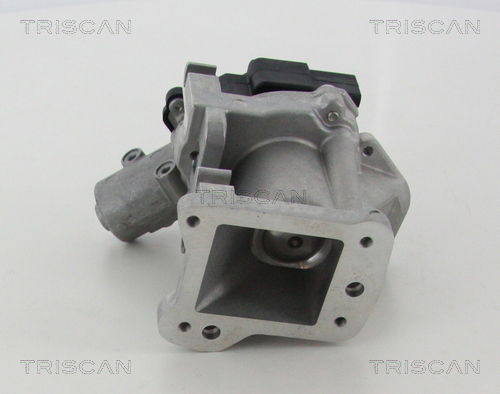 AGR-Ventil Triscan 8813 10007 von Triscan