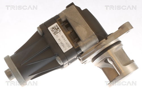 AGR-Ventil Triscan 8813 10053 von Triscan