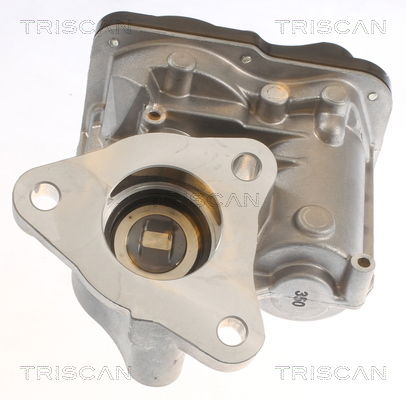 AGR-Ventil Triscan 8813 10055 von Triscan