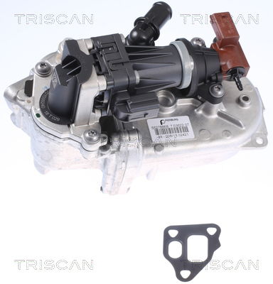 AGR-Ventil Triscan 8813 10108 von Triscan