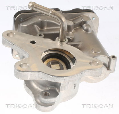 AGR-Ventil Triscan 8813 10116 von Triscan