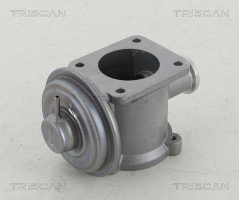 AGR-Ventil Triscan 8813 11003 von Triscan