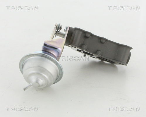 AGR-Ventil Triscan 8813 13058 von Triscan