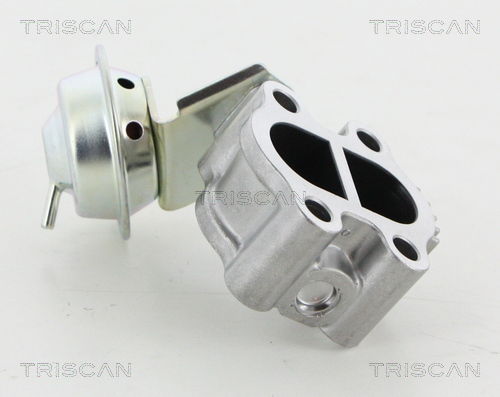 AGR-Ventil Triscan 8813 13060 von Triscan