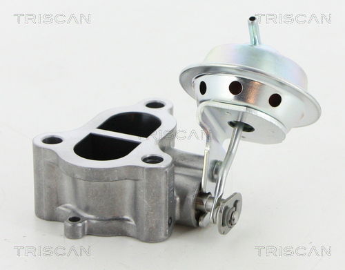 AGR-Ventil Triscan 8813 13065 von Triscan