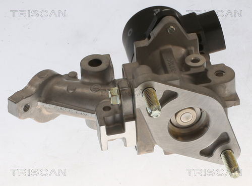 AGR-Ventil Triscan 8813 13067 von Triscan