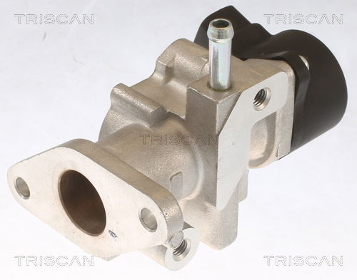 AGR-Ventil Triscan 8813 13104 von Triscan