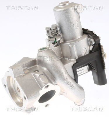 AGR-Ventil Triscan 8813 14006 von Triscan