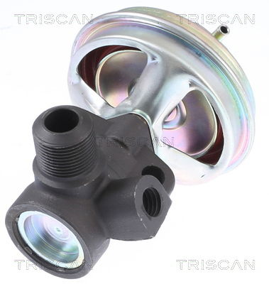 AGR-Ventil Triscan 8813 14008 von Triscan