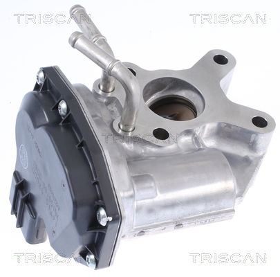 AGR-Ventil Triscan 8813 14015 von Triscan