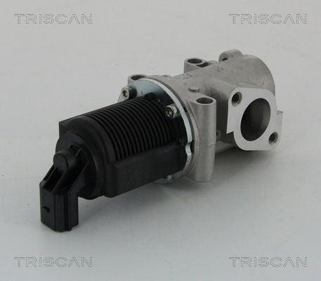 AGR-Ventil Triscan 8813 15032 von Triscan