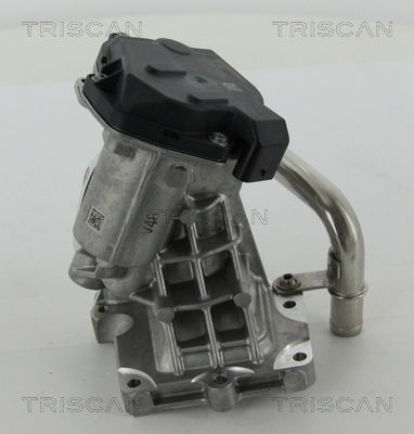 AGR-Ventil Triscan 8813 15206 von Triscan