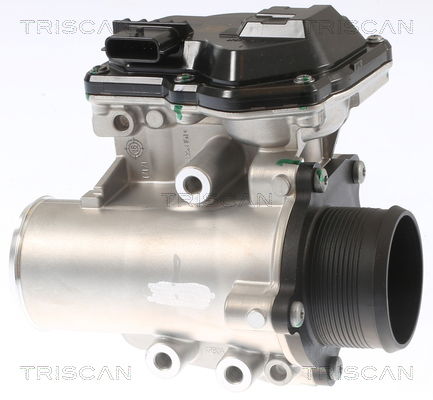 AGR-Ventil Triscan 8813 16002 von Triscan