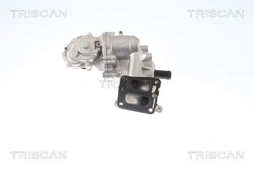 AGR-Ventil Triscan 8813 16005 von Triscan