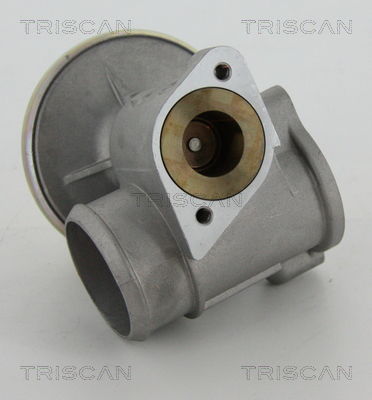 AGR-Ventil Triscan 8813 16010 von Triscan