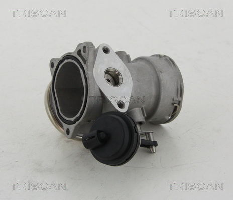 AGR-Ventil Triscan 8813 16023 von Triscan