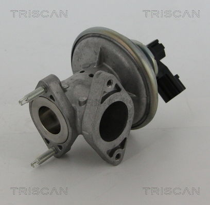 AGR-Ventil Triscan 8813 16043 von Triscan