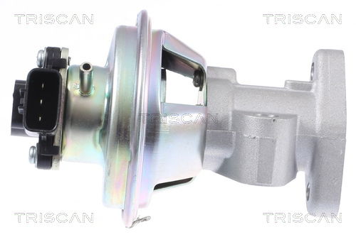 AGR-Ventil Triscan 8813 16069 von Triscan