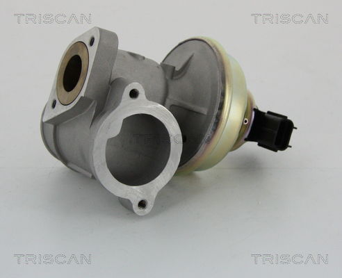 AGR-Ventil Triscan 8813 16102 von Triscan