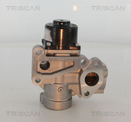 AGR-Ventil Triscan 8813 16203 von Triscan