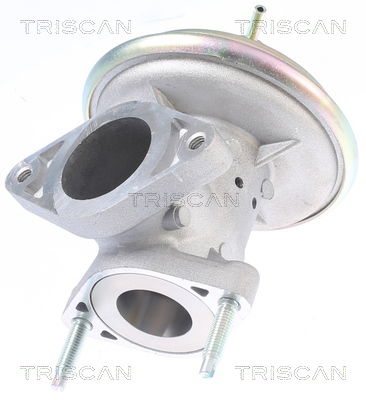 AGR-Ventil Triscan 8813 16213 von Triscan