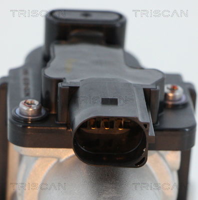 AGR-Ventil Triscan 8813 18045 von Triscan