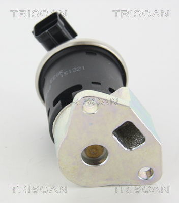 AGR-Ventil Triscan 8813 21004 von Triscan