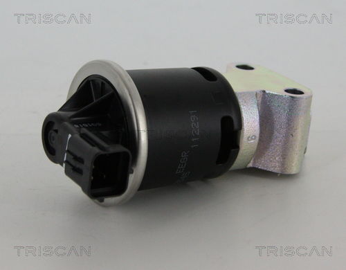 AGR-Ventil Triscan 8813 21008 von Triscan