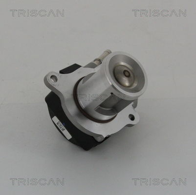 AGR-Ventil Triscan 8813 23016 von Triscan